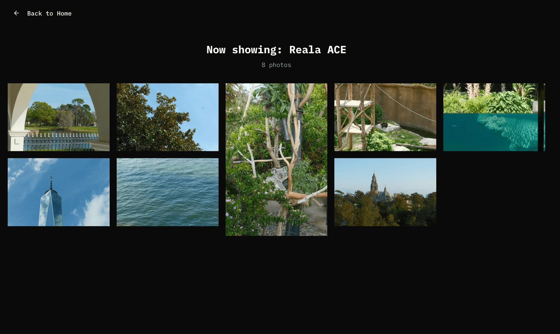 screenshot of the film sim page